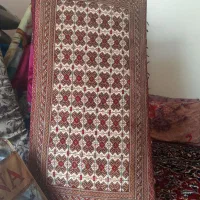 پشتی