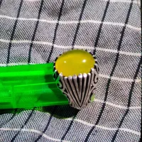 انگشترنقرهدستساز|جواهرات|مبارکه, |دیوار