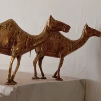 تعدادی دکوری خانه