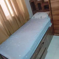 سایر