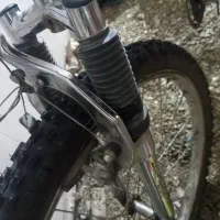 دوچرخه ۲۶|دوچرخه، اسکیت، اسکوتر|سیلوانه, |دیوار