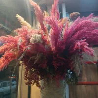 ۴عدد گلدان وگل مختلف|گل و گیاه طبیعی|رشت, چمارسرا|دیوار