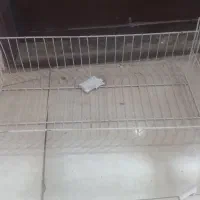 سبد  برای مغازه
