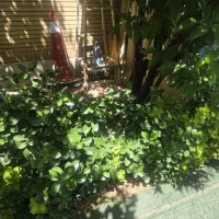 استخدام نیرو خدماتی