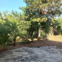 اجاره روزانه خانه ویلایی