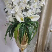 جام گل کنار سالنی