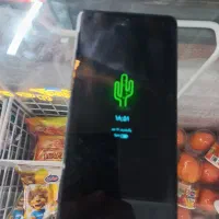 گوشی نوت ۱۳پرو شیائومی رم ۱۲
