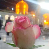 تور مشهد مقدس