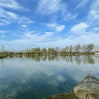 خانه محوطه با استخرماهی 53هزارمتر دارای سند