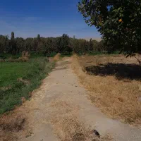 باغ سیب وهلودرجهان آباد|فروش زمین و ملک کلنگی|نهاوند, |دیوار