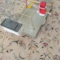 قفس پرنده|لوازم جانبی حیوانات|شیراز, ریشمک|دیوار