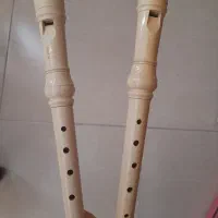 بلز و فلوت|سازهای سنتی|شیراز, پارک آزادی|دیوار