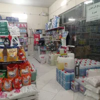 واگذاری شوینده و بهداشتی|فروشگاه و مغازه|گلبهار, شهر جدید گلبهار|دیوار