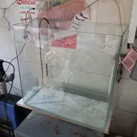 آکواریوم شیشه خم|ماهی|فردیس, سرحدی|دیوار
