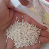 ۱۰ برنج هاشمی درج یک