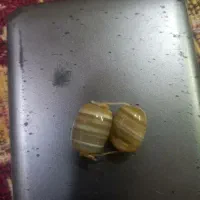 دو جفت سنگ قدیمی بفروش میرسد|بدلیجات|شوش, |دیوار