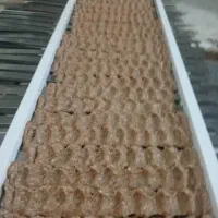 کافه رستوران مارال فولاد شهر|خدمات پذیرایی، مراسم|فولادشهر, B8|دیوار