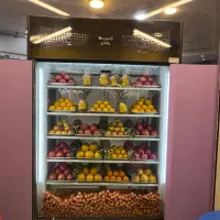 تاپینگ و یخچال ویترین|فروشگاه و مغازه|رشت, کاکتوس|دیوار