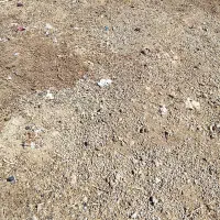 کود|گل و گیاه طبیعی|اهواز, ۲۴ متری|دیوار
