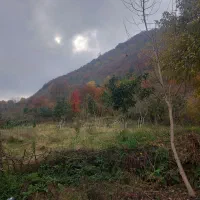 اجاره و رهن ویلا