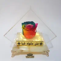 رز جاودان طبیعی باکس گل رز جاودان هدیه خاص|گل و گیاه طبیعی|تهران, میدان ولیعصر|دیوار
