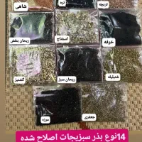 دانه سبزیجات