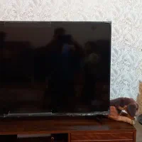 تلوزیون جی پلاس درحدفروشی