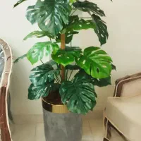 دو عدد گل مصنوعی شیک و جنس خوب