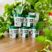 قرص کود ارگانیک بیز