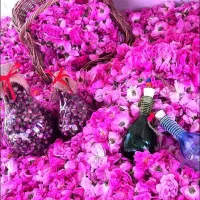تور ویژه جشن گلاب گیری