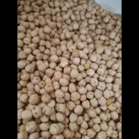 نخود تازه و زود پز