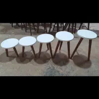 پایه گلدان صفحه گرد|گل و گیاه طبیعی|بروجرد, |دیوار