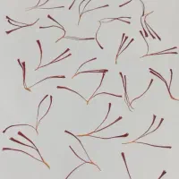 دستگاه زعفران خشک کن