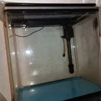 آکواریوم خانگی