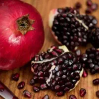 نهال انار فیروز کوه