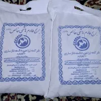 برنج طارم هاشمی خالص دوبوجاری