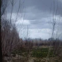 فروش باغ سنددار