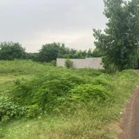 زمین مسکونی باغی 8600 متری مناسب شهرک سازی|فروش زمین و ملک کلنگی|خشکبیجار, |دیوار