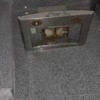 هود|هود|مشهد, هفت تیر (نه دره)|دیوار