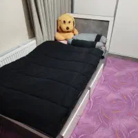 دو عدد تخت یکنفره MDF|تخت و سرویس خواب|محمدشهر, محمدشهر|دیوار