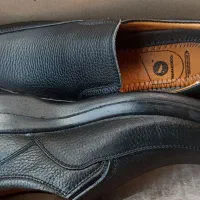 کفش کار اداری|کیف، کفش، کمربند|الوند, |دیوار