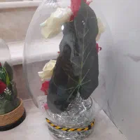 بکس  شیشه ای گل مصنوعی نو نو سالم|گل مصنوعی|قم, شهدا|دیوار