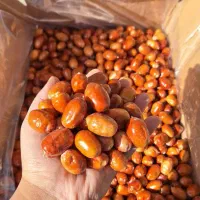 فروش سنجد درشت و قرمز