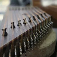 سنتور ونگه ایتالیا موسوی