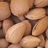 فروش بادام|خوردنی و آشامیدنی|بوانات, |دیوار