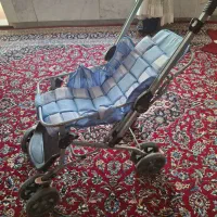 کالسکه|کالسکه و لوازم جانبی|گنبد کاووس, |دیوار
