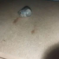 انگشتر نقره