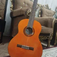 گیتار خوش صدا زاگرس
