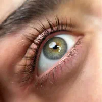 آموزش پردرآمدترین لاین زیبایی با قیمت استثنایی