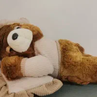 خرس|اسباب‌‌بازی|تهران, وحیدیه|دیوار